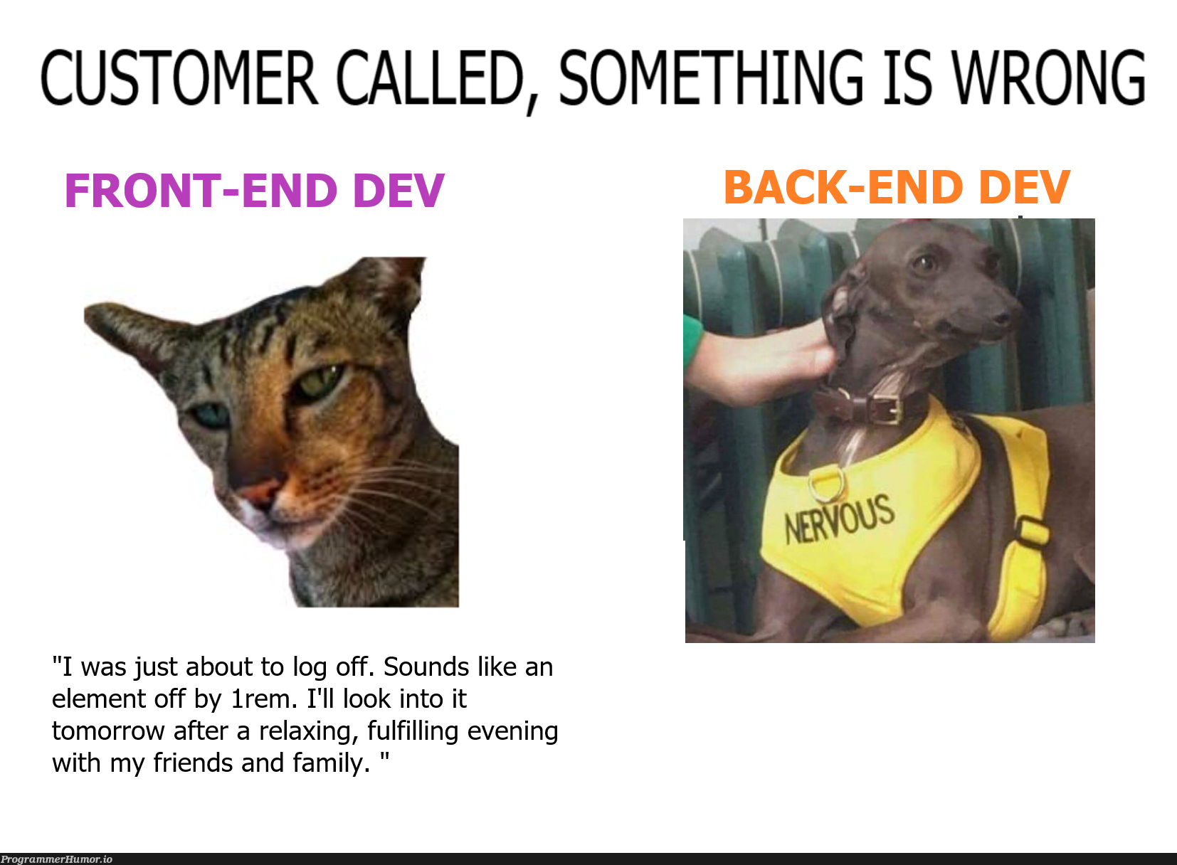 When customer calls | IT-memes | ProgrammerHumor.io