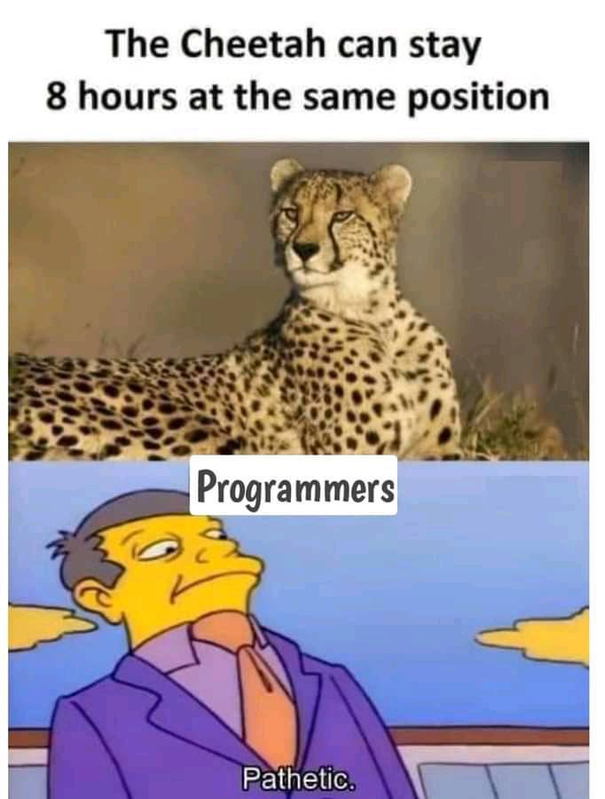 pathetic | programmer-memes, program-memes | ProgrammerHumor.io