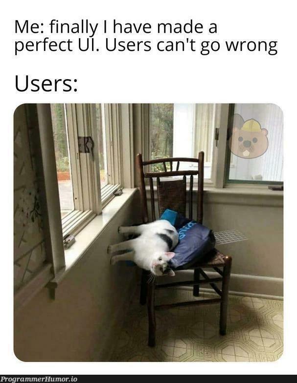 perfectUIForImperfectUser | ProgrammerHumor.io