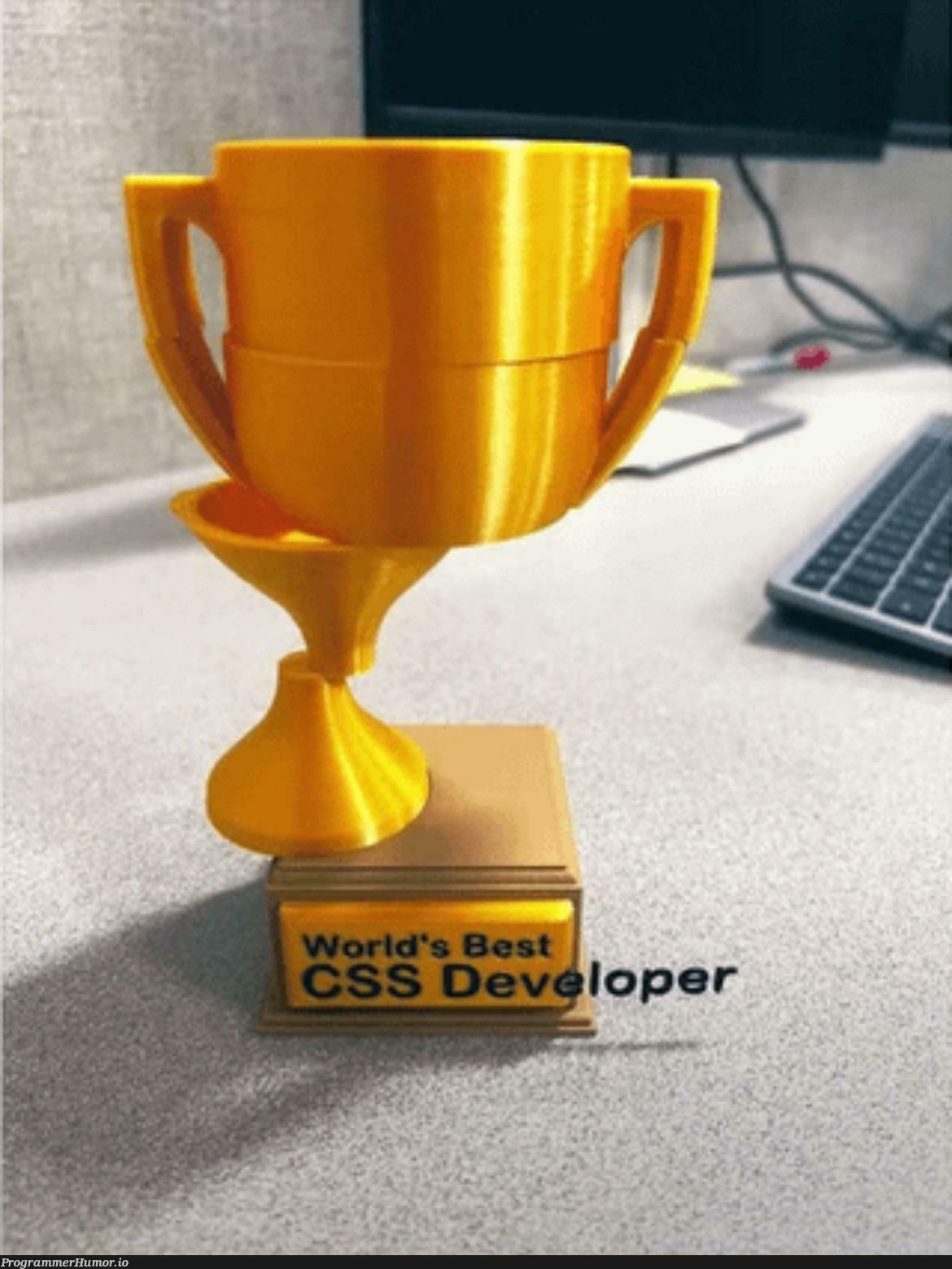 theWorldsBestTrophy | ProgrammerHumor.io