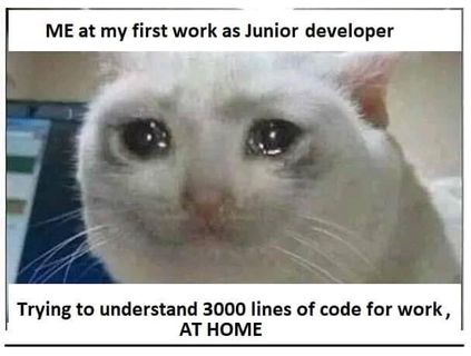 firstWork | developer-memes, code-memes, try-memes, lines of code-memes | ProgrammerHumor.io