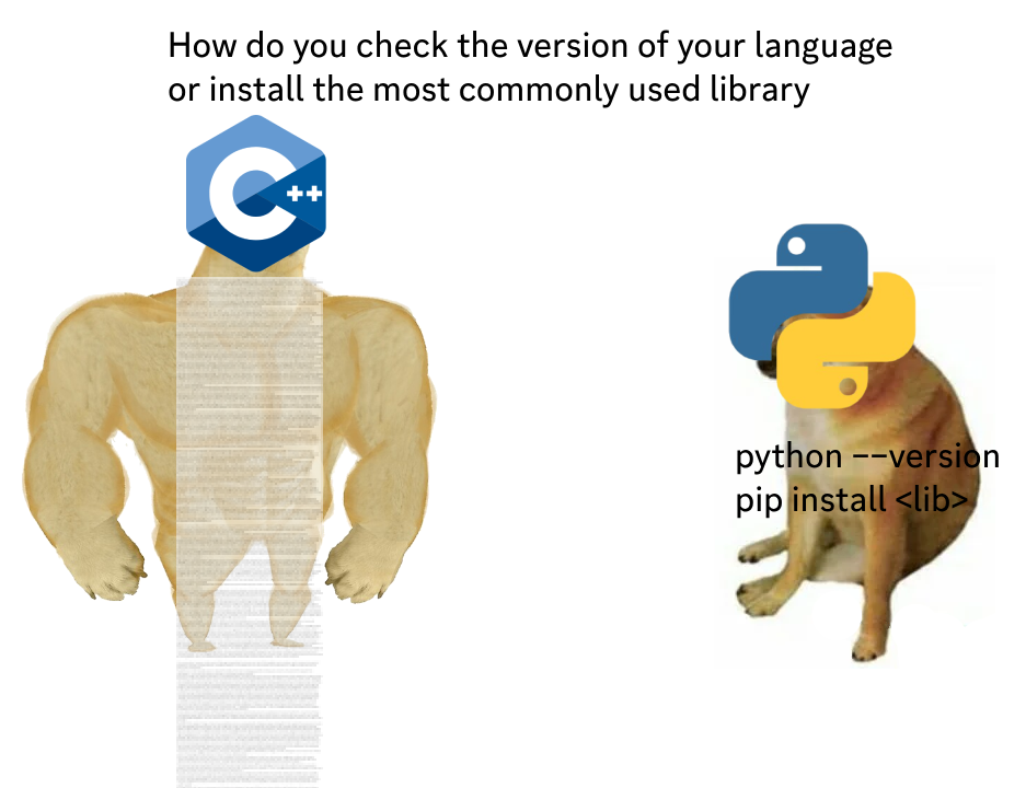 checkingTheVersionIsATheoryInCpp | python-memes, version-memes, pip-memes, language-memes | ProgrammerHumor.io