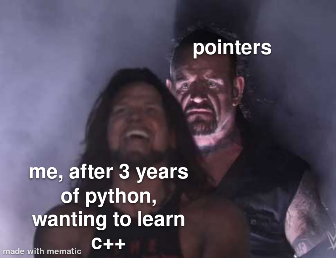 I hate them | python-memes, c++-memes, pointers-memes | ProgrammerHumor.io