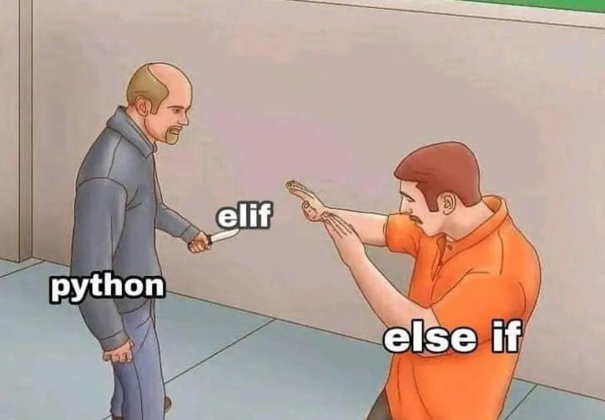 It is what it is. | python-memes, IT-memes | ProgrammerHumor.io