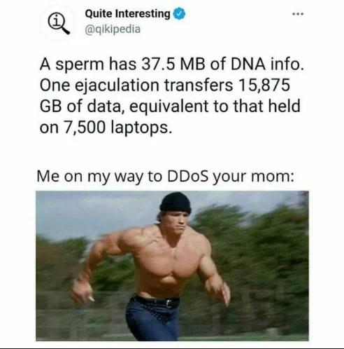 dataBank | data-memes, rest-memes, laptop-memes | ProgrammerHumor.io