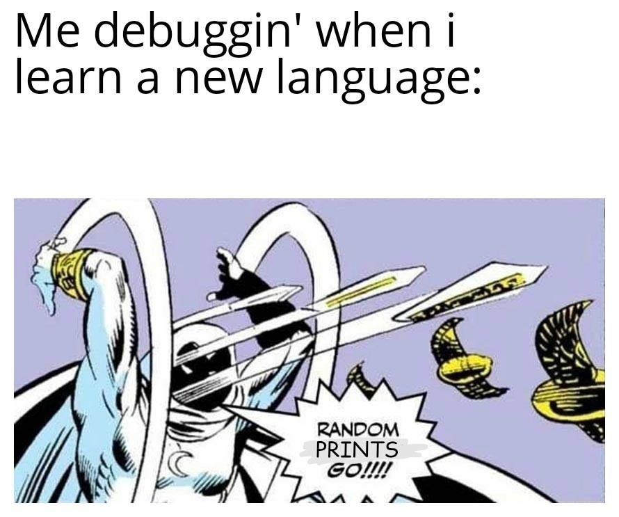 Maybe I should learn to debug | bug-memes, debug-memes, language-memes | ProgrammerHumor.io