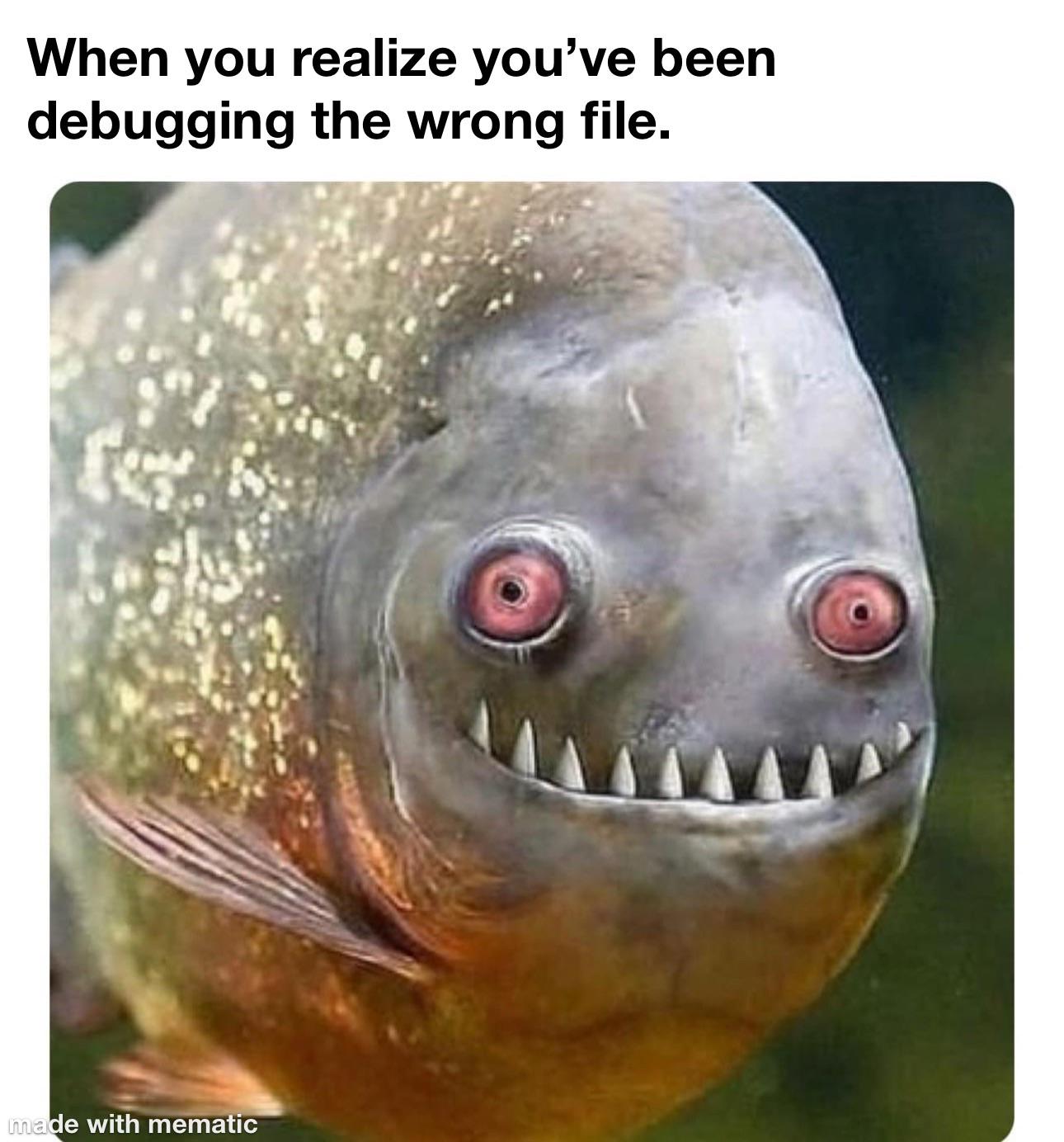 itsBeenEightHours | debugging-memes, bug-memes, debug-memes | ProgrammerHumor.io