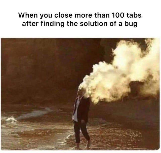 andThisIsPleasure | bug-memes, tabs-memes | ProgrammerHumor.io