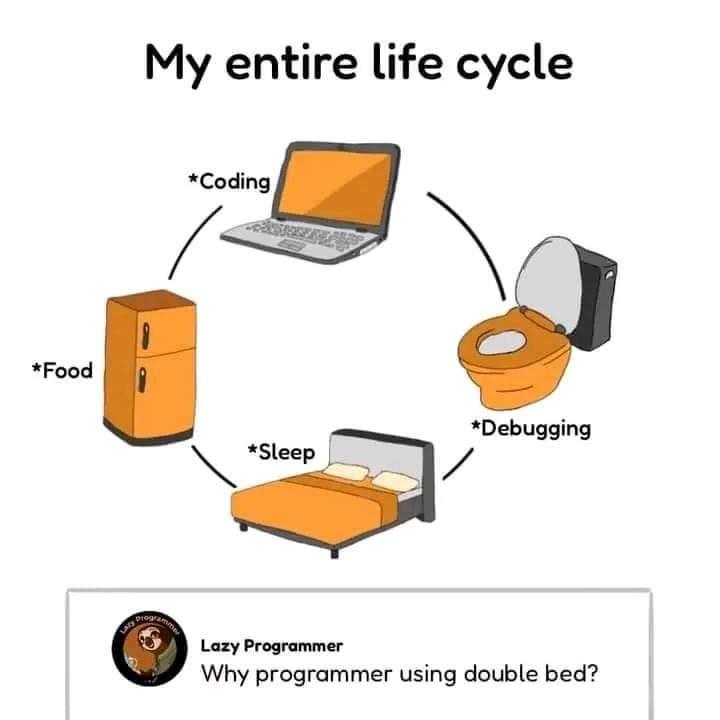 whyDoubleBedTho | programmer-memes, coding-memes, program-memes, debugging-memes, bug-memes, debug-memes | ProgrammerHumor.io