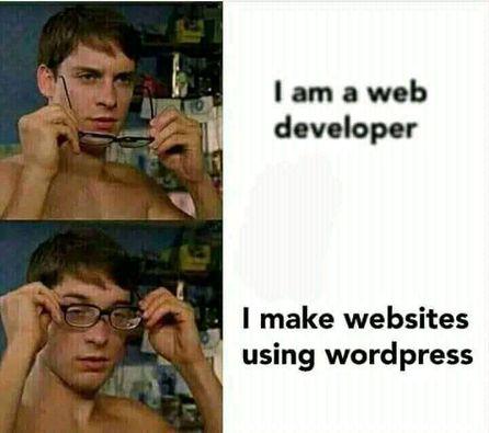 wordpressDeveloper | developer-memes, web developer-memes, web-memes, website-memes, wordpress-memes | ProgrammerHumor.io