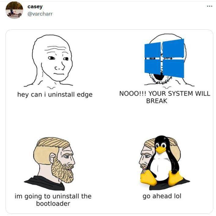 Can I uninstall edge | edge-memes | ProgrammerHumor.io