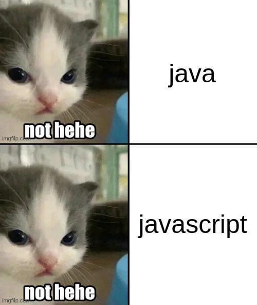 whenYouDontLikeJavaOrJavascript | javascript-memes, java-memes | ProgrammerHumor.io