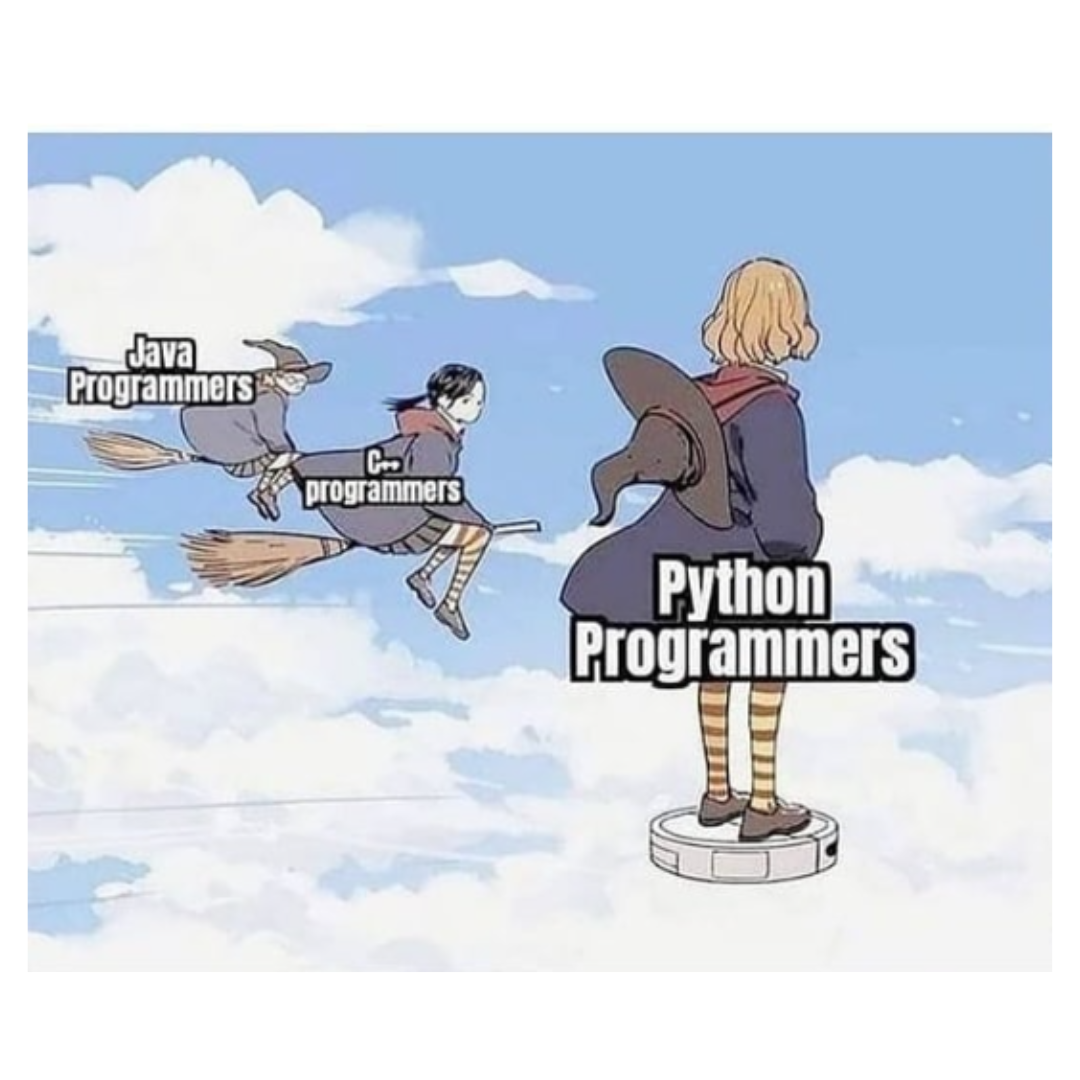 pythonProgrammers | programmer-memes, java-memes, python-memes, program-memes | ProgrammerHumor.io