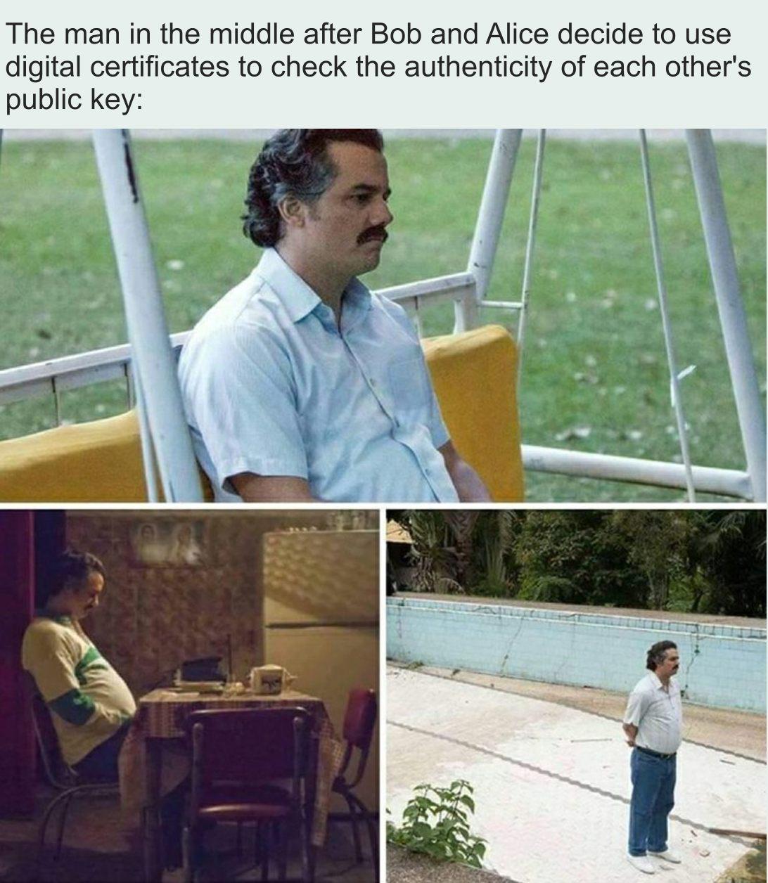 justWaitUntilTheyFindOutThatTrudyIsTheCertificateAuthority | git-memes, ide-memes, public-memes | ProgrammerHumor.io