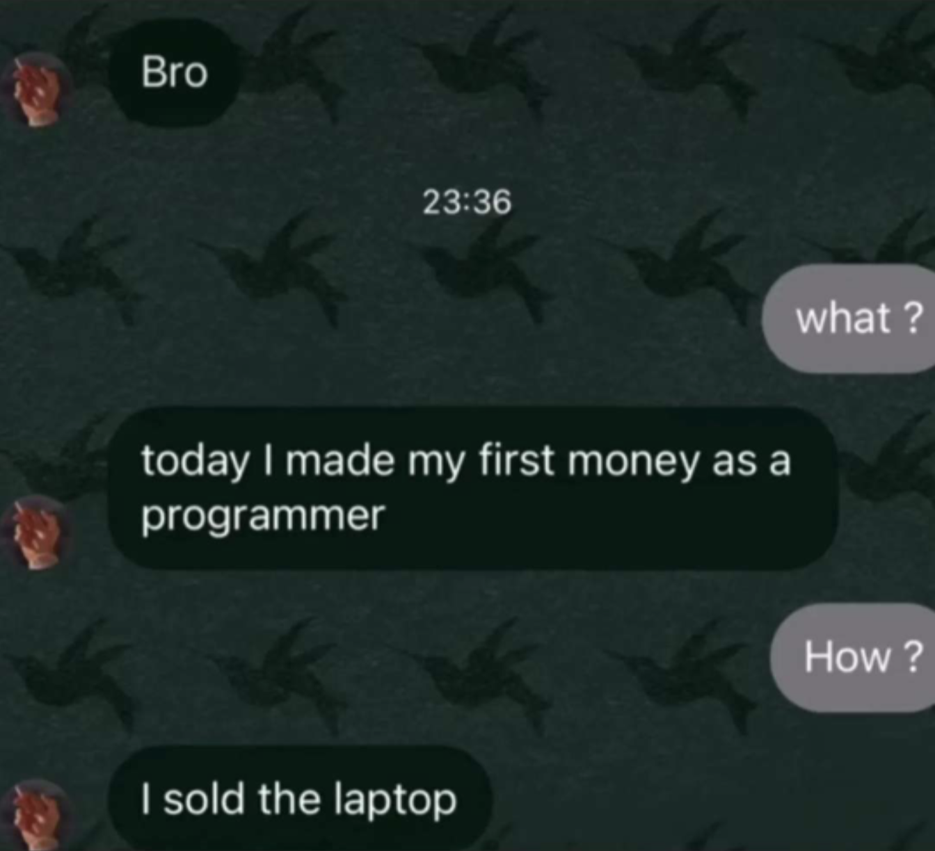 firstMoneyMade | programmer-memes, program-memes, laptop-memes | ProgrammerHumor.io