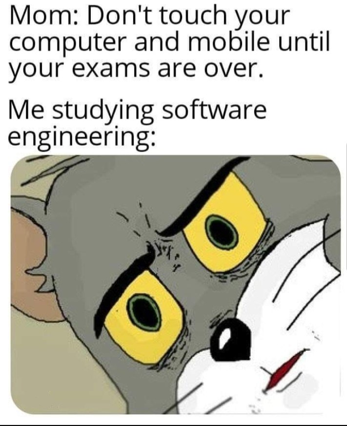 itDoBeLikeThat | software-memes, computer-memes, engineer-memes, software engineer-memes, engineering-memes | ProgrammerHumor.io