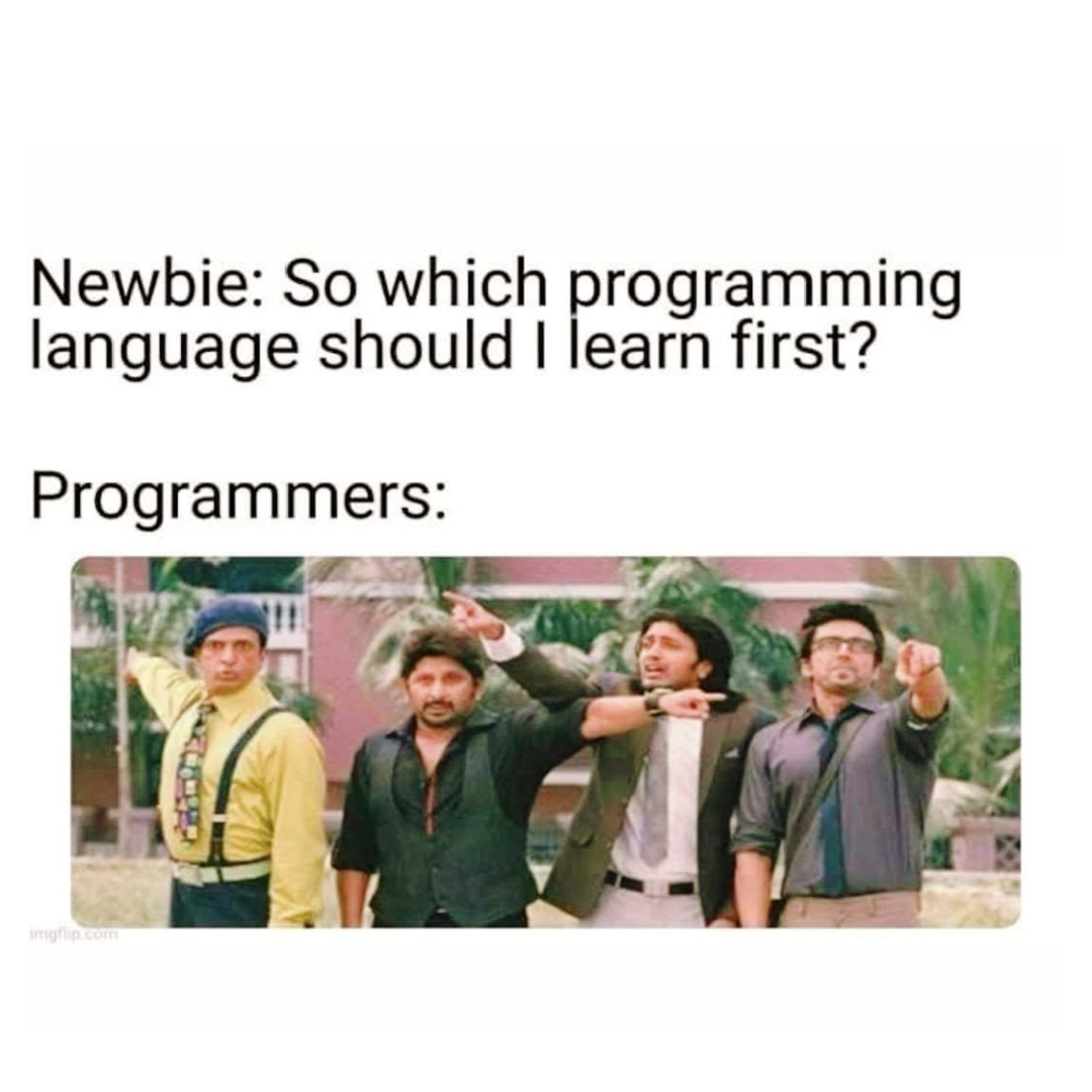 whichProgrammingLanguageDidYouLearnFirst | programming-memes, programmer-memes, program-memes, language-memes, programming language-memes | ProgrammerHumor.io