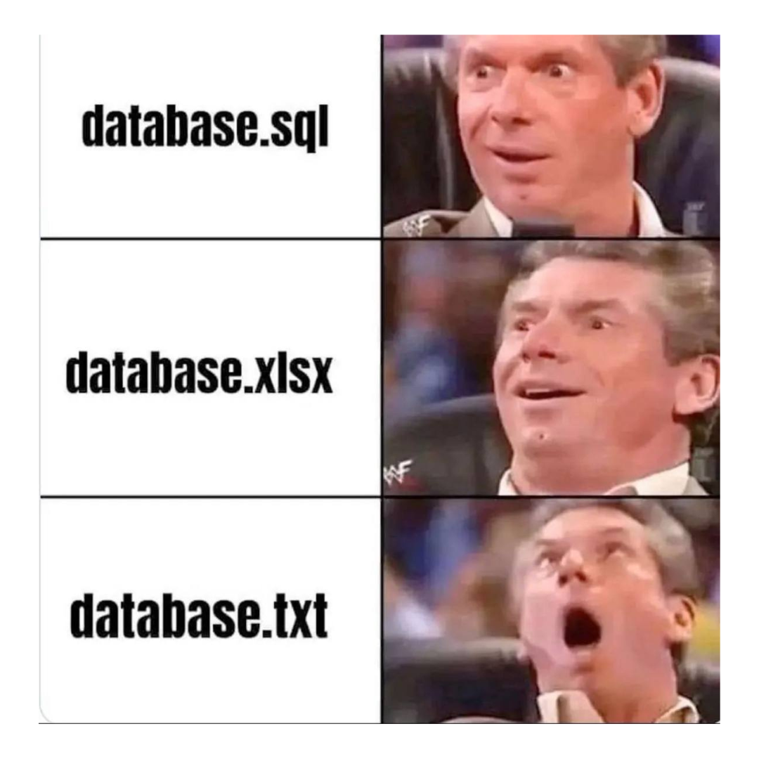 databaseTxt | data-memes, database-memes | ProgrammerHumor.io