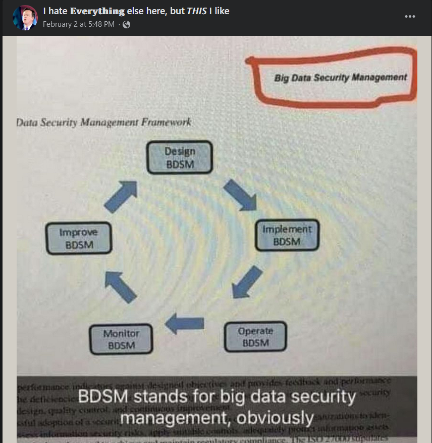 Title loves such BDSM(s) | design-memes, management-memes, data-memes, security-memes, monitor-memes, IT-memes, big data-memes | ProgrammerHumor.io