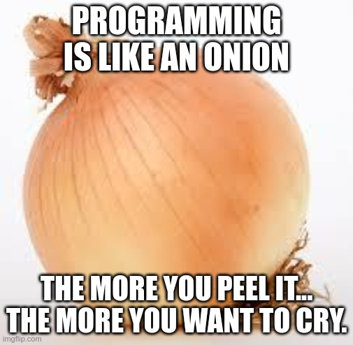 programmingIsLikeAnOnion | programming-memes, program-memes | ProgrammerHumor.io