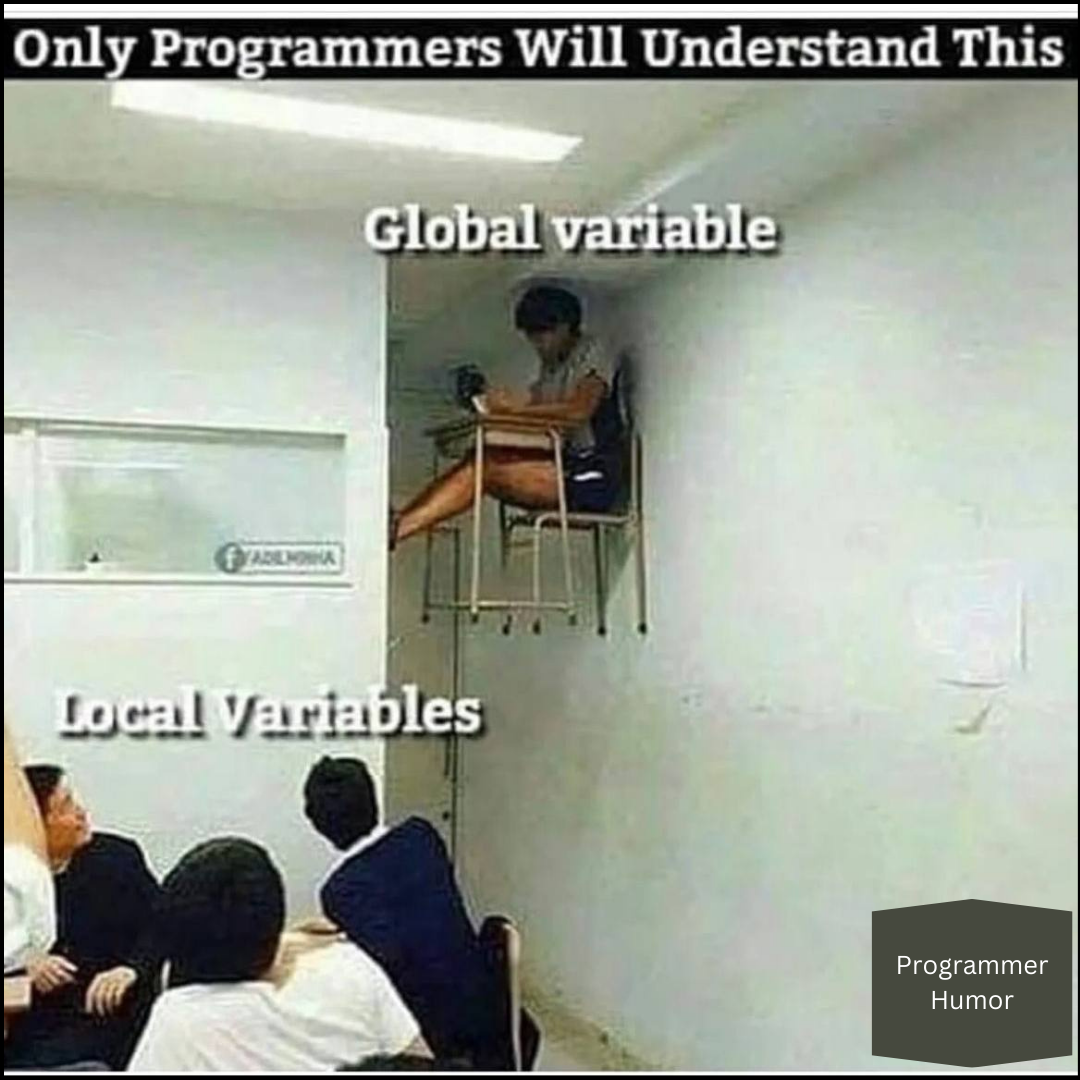 onlyProgrammersWillUnderstand | programmer-memes, variables-memes, program-memes, loc-memes, global-memes | ProgrammerHumor.io