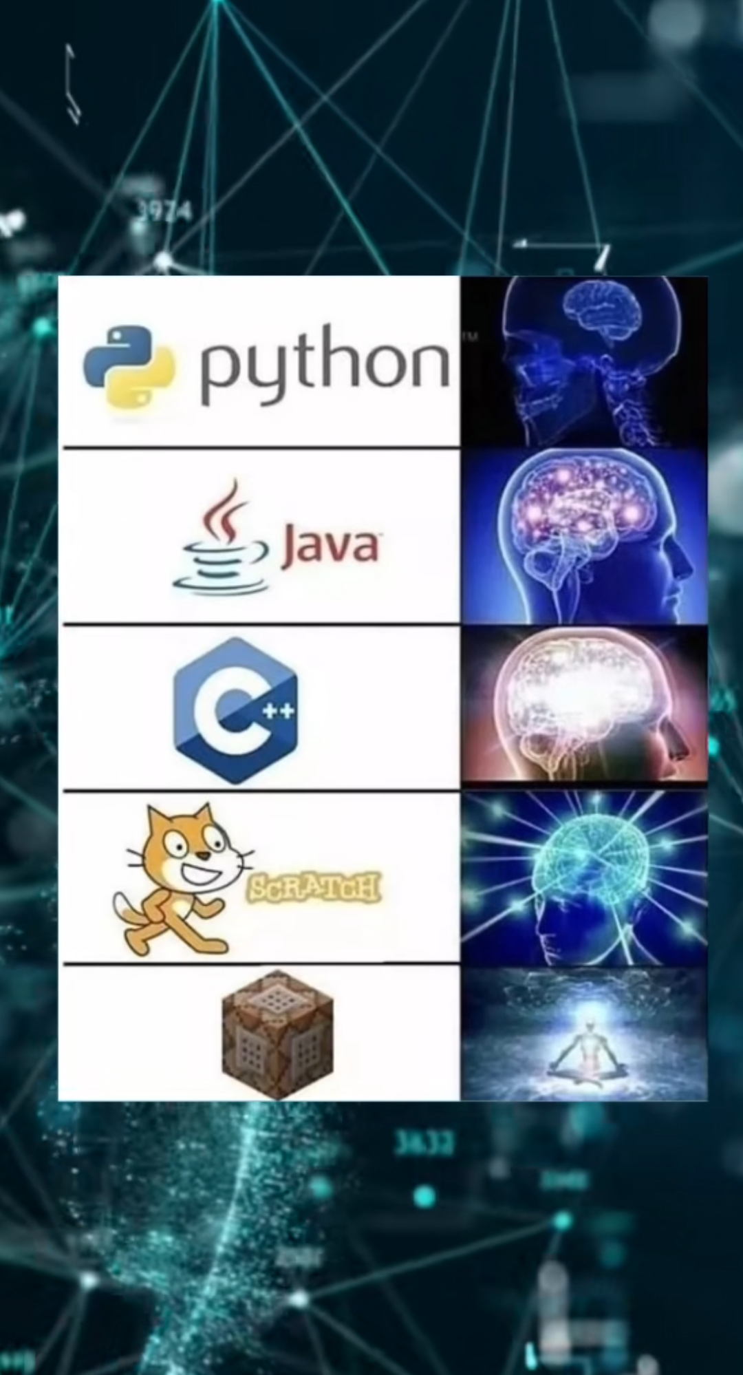 whatDoYouThink | python-memes | ProgrammerHumor.io