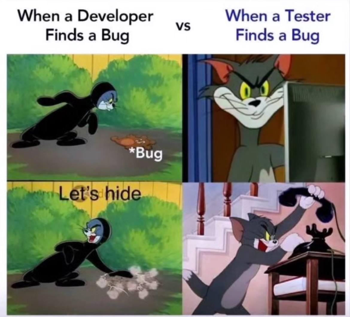 findsBug | developer-memes, test-memes, bug-memes, ide-memes | ProgrammerHumor.io