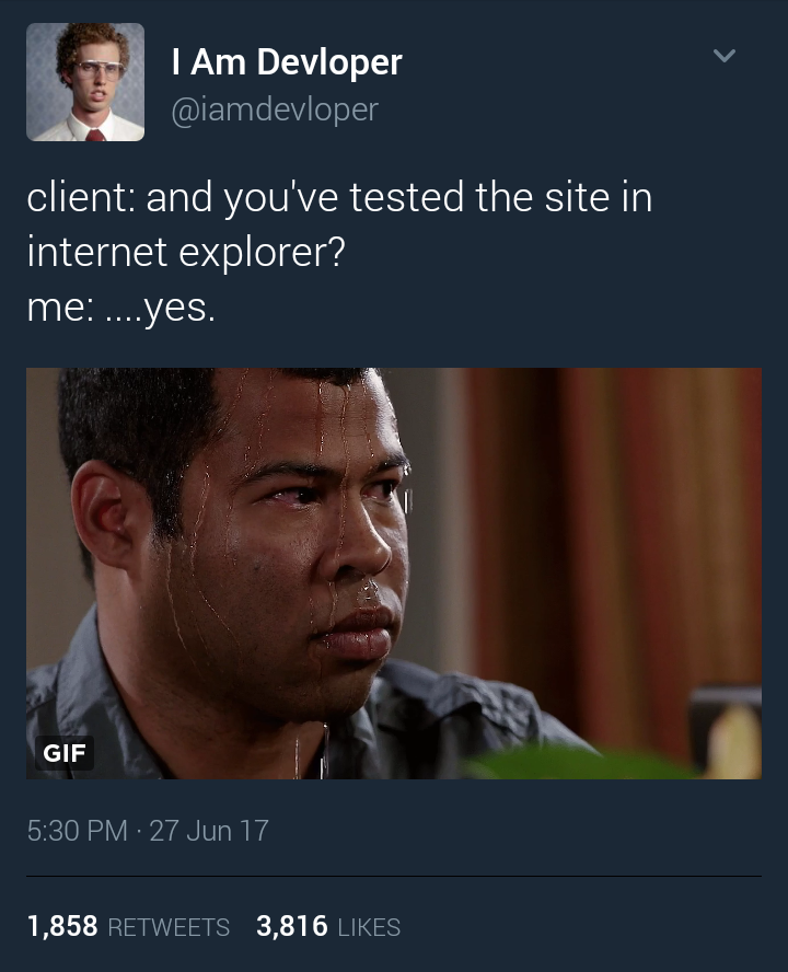 you have tested the site in IE? | test-memes, internet explorer-memes, cli-memes, internet-memes, tested-memes, retweet-memes | ProgrammerHumor.io