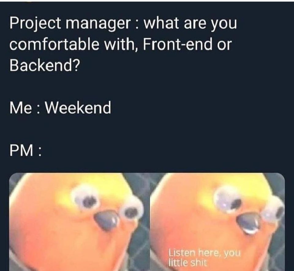 projectManager | backend-memes, list-memes, front-end-memes, manager-memes | ProgrammerHumor.io