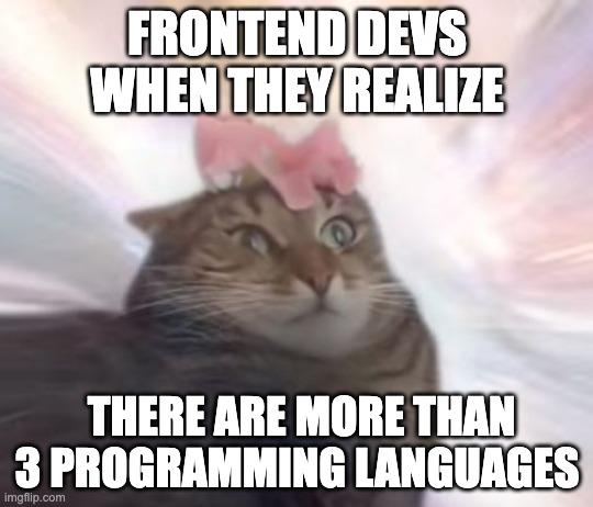 javascriptHtmlAndCss | programming-memes, html-memes, css-memes, javascript-memes, java-memes, program-memes, frontend-memes, devs-memes, ML-memes, language-memes, cs-memes, programming language-memes | ProgrammerHumor.io