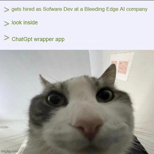 aiNative | edge-memes, ide-memes | ProgrammerHumor.io