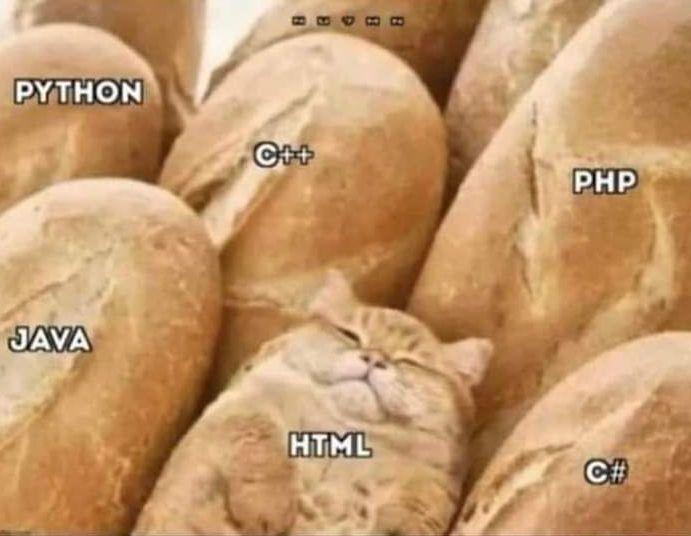 hTML | html-memes, php-memes, java-memes, python-memes, ML-memes | ProgrammerHumor.io