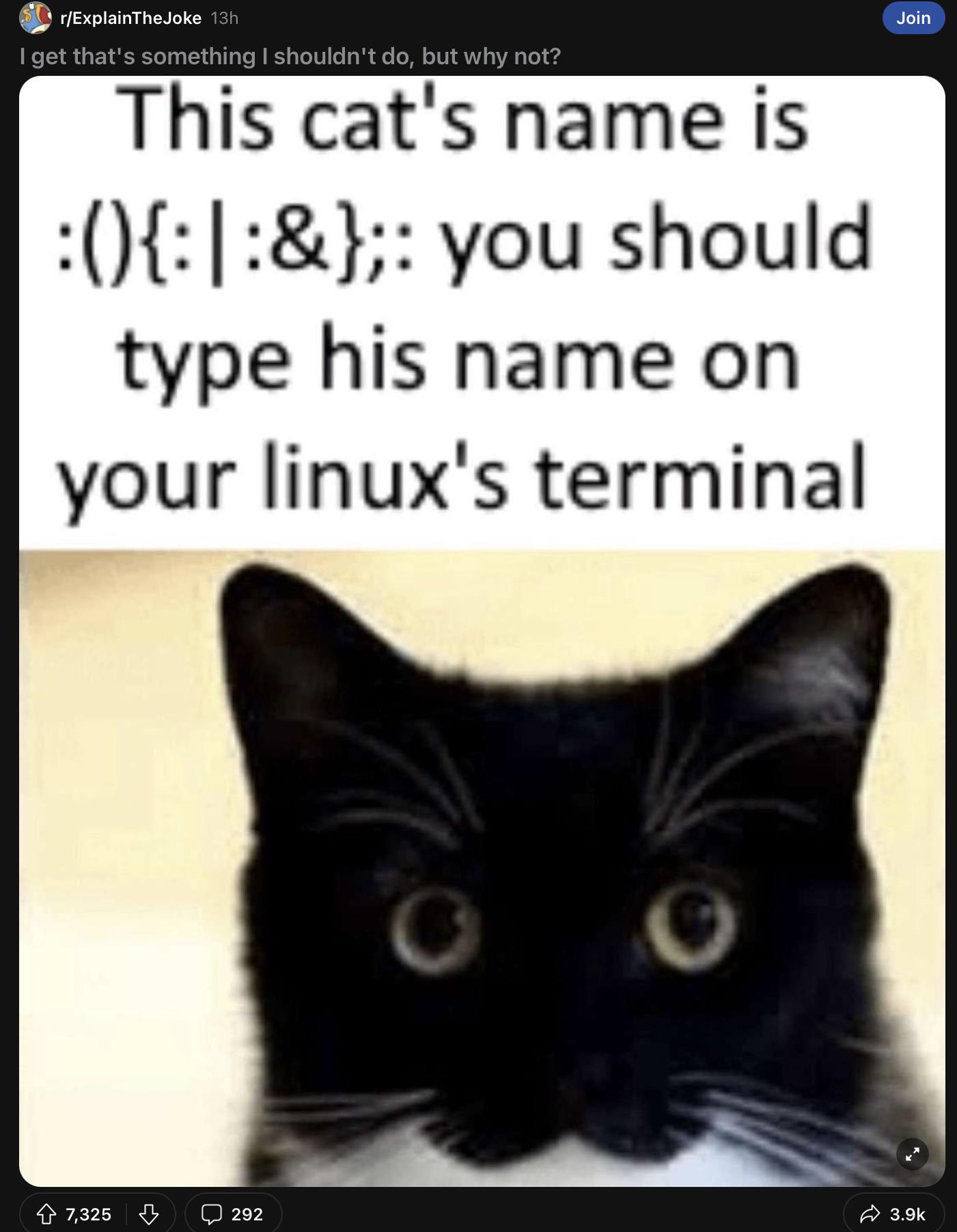 probablyNotForkBomb | linux-memes, ux-memes, terminal-memes, fork-memes | ProgrammerHumor.io