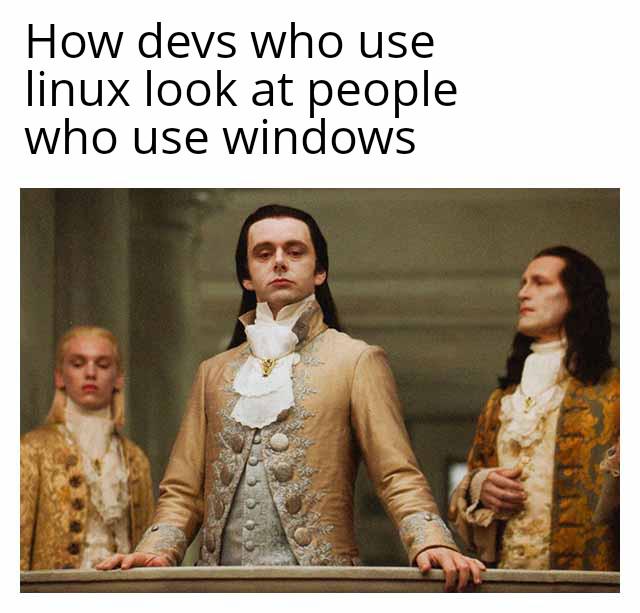 lookingDownAtYourBloat | linux-memes, ux-memes, devs-memes, windows-memes | ProgrammerHumor.io