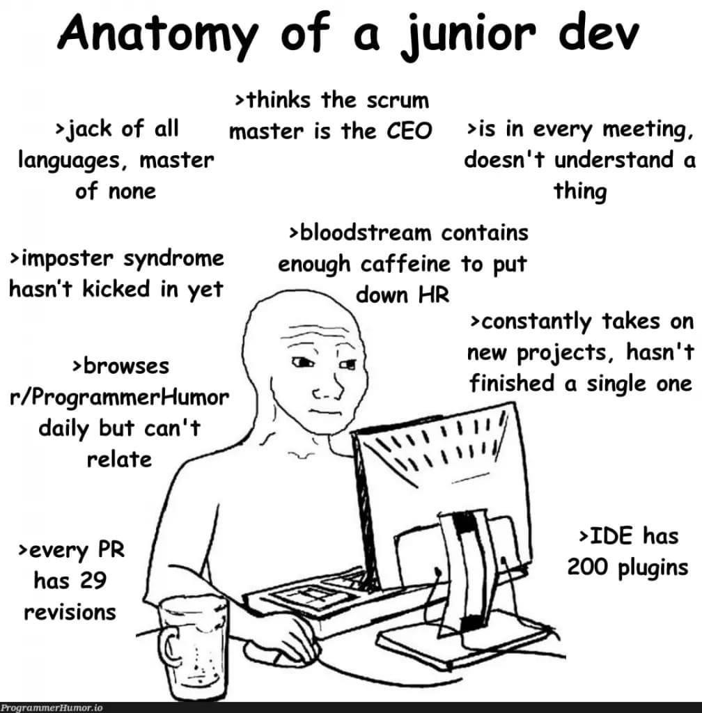 anatomyOfJuniorDev | programmer-memes, program-memes, atom-memes, ide-memes, stream-memes, language-memes | ProgrammerHumor.io