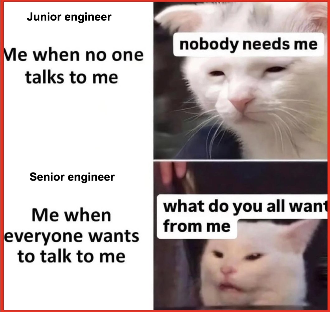 juniorVsSenior | engineer-memes | ProgrammerHumor.io