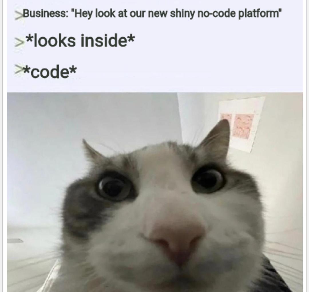 noCodeIsJustSomeoneElsesCode | code-memes, ide-memes | ProgrammerHumor.io