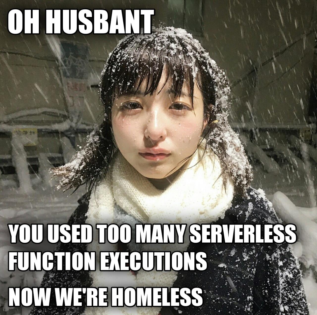 serverlessAndHomeless | server-memes, function-memes | ProgrammerHumor.io