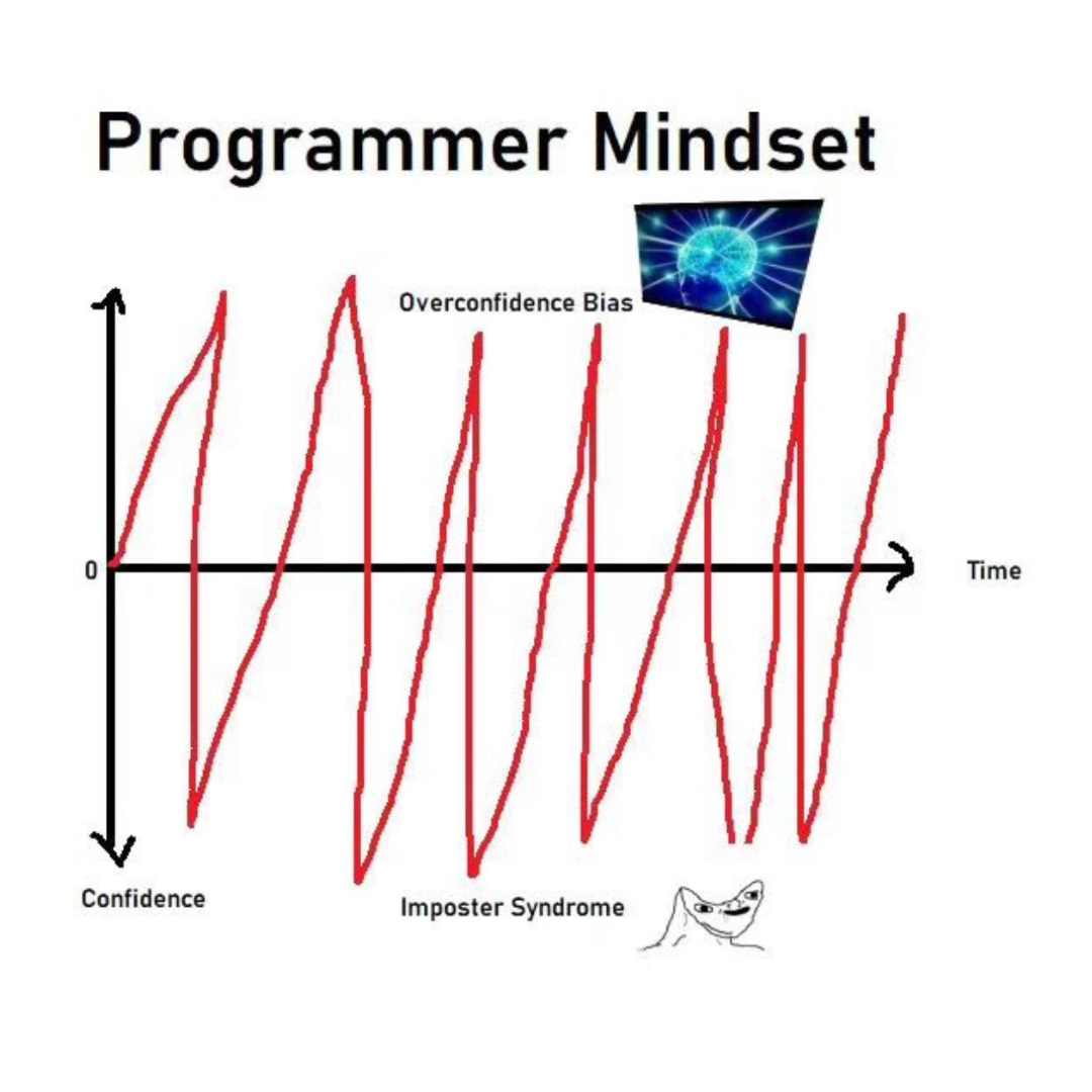 programmerMindset | programmer-memes, program-memes, ide-memes | ProgrammerHumor.io