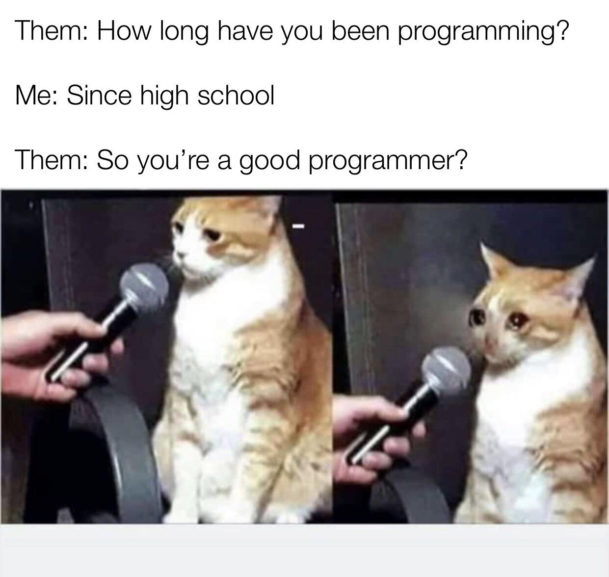 Who else is/feels old and can relate? | programming-memes, programmer-memes, program-memes | ProgrammerHumor.io