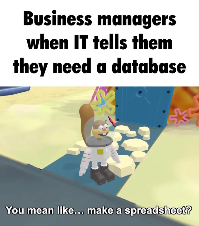 butYouNeedADataBase | data-memes, database-memes, IT-memes, manager-memes | ProgrammerHumor.io