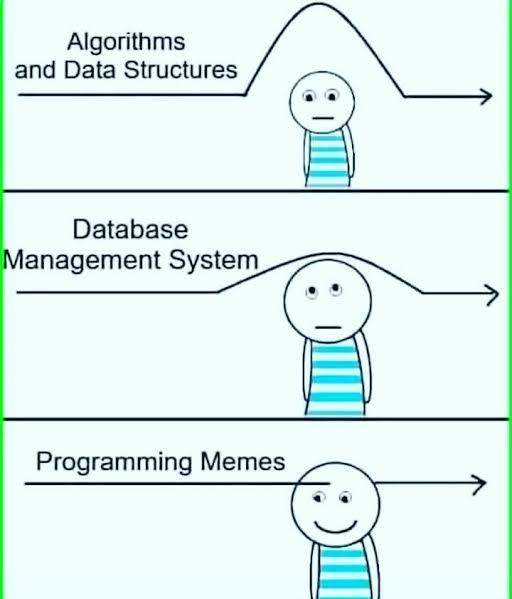 areYouAgree | programming-memes, management-memes, program-memes, data structures-memes, data-memes, database-memes, algorithm-memes, algorithms-memes | ProgrammerHumor.io