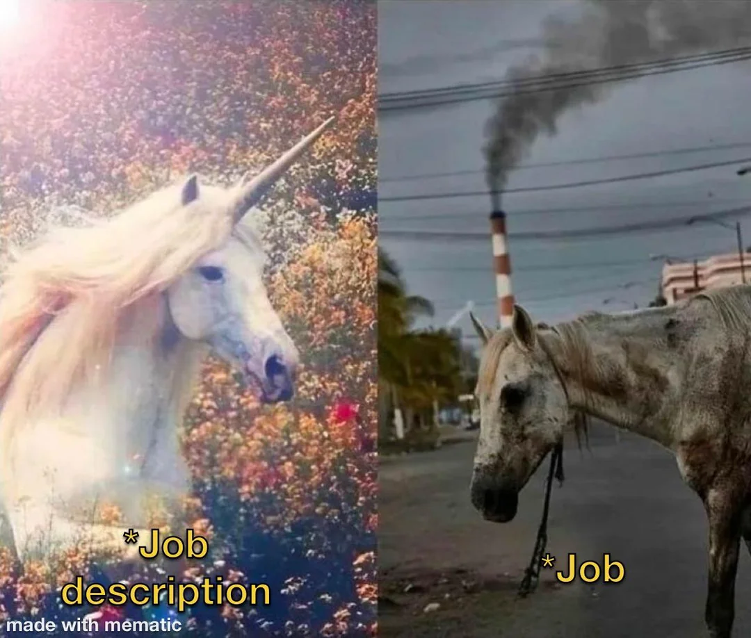 jobVsjobDescription | ProgrammerHumor.io