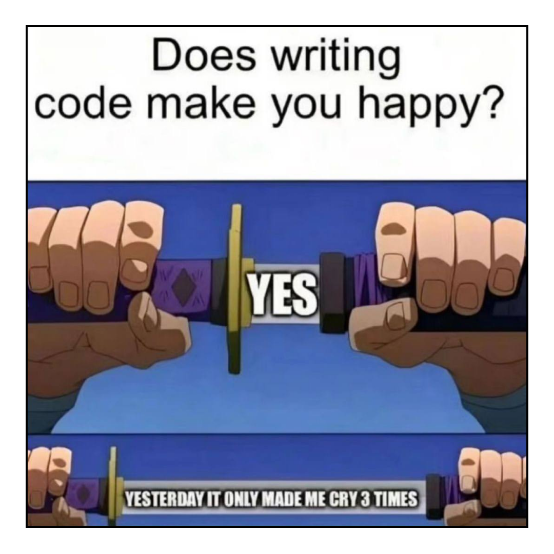 doesItMakeYouHappy | code-memes, IT-memes | ProgrammerHumor.io