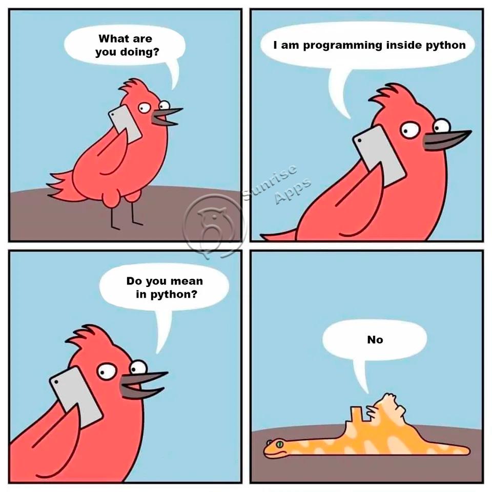 programmingInPython | programming-memes, python-memes, program-memes, ide-memes | ProgrammerHumor.io