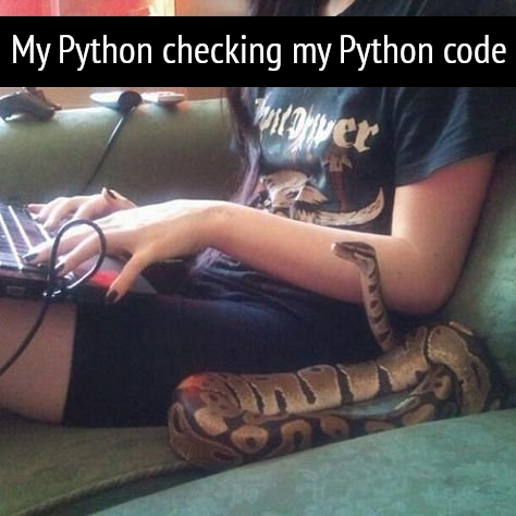 Python checking Python code. | code-memes, python-memes | ProgrammerHumor.io