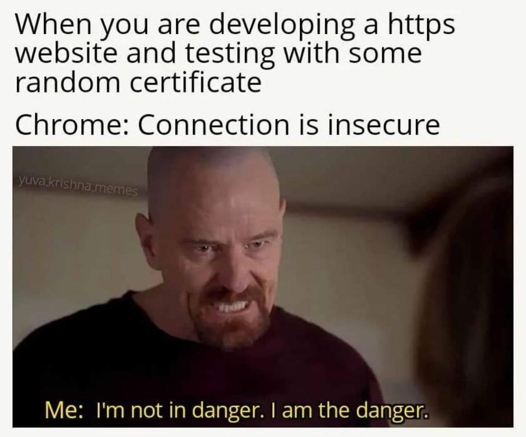 imTheHttps | web-memes, website-memes, testing-memes, test-memes, random-memes, http-memes | ProgrammerHumor.io