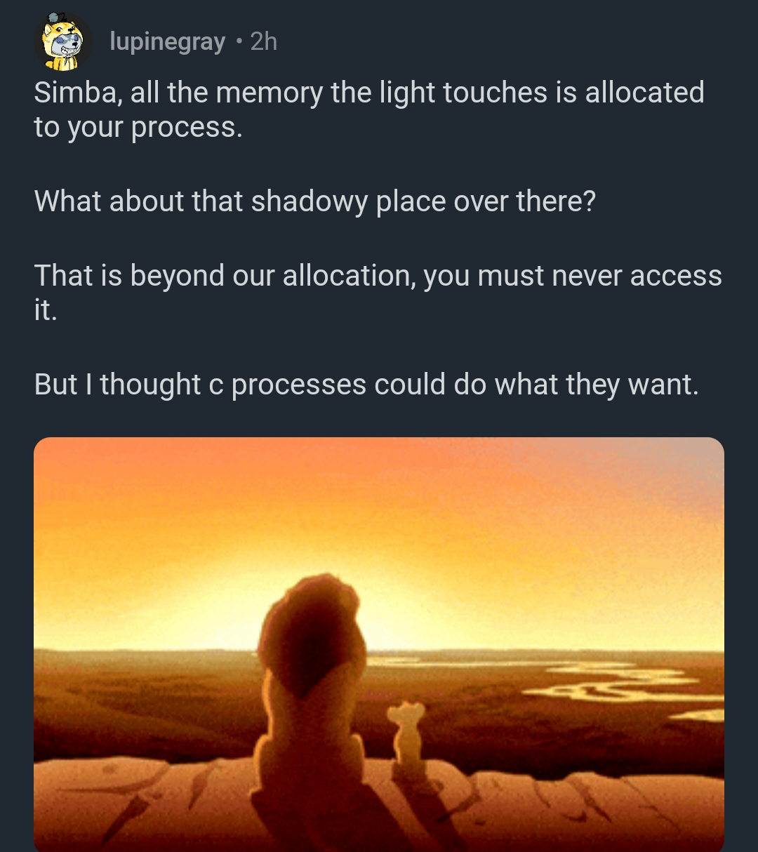 hakunaMatata | loc-memes, c-memes | ProgrammerHumor.io