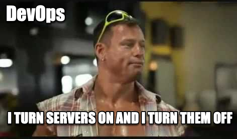 devOpsBrosDoAllTheHeavyLifting | server-memes, servers-memes, devops-memes | ProgrammerHumor.io