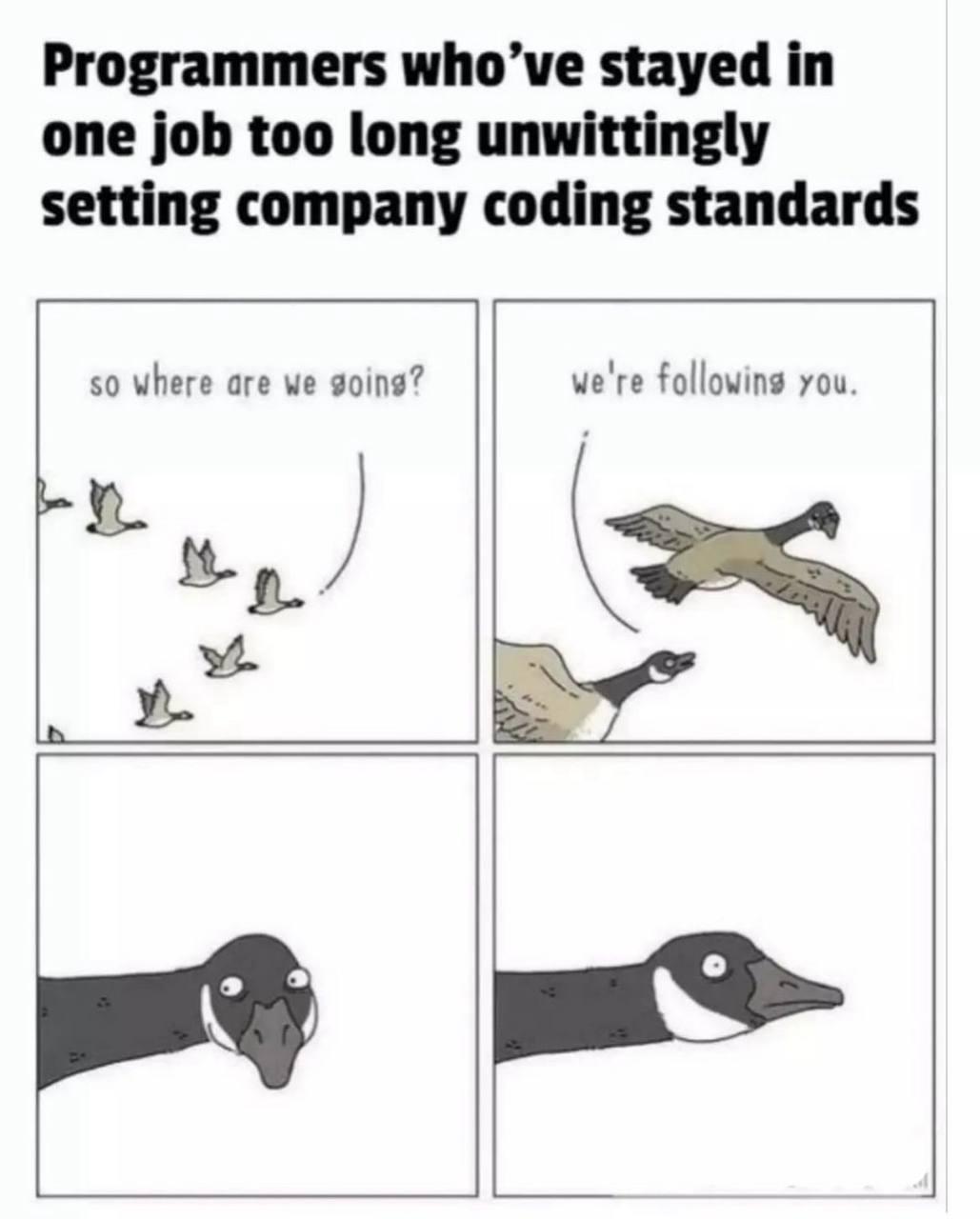 followingYou | programmer-memes, coding-memes, program-memes, rds-memes | ProgrammerHumor.io